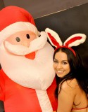 Holiday_bunny